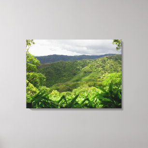 Koolau berg canvastryck