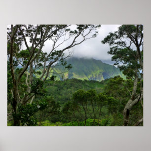 Koolau berg poster
