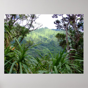 Koolau-bergen ovanför Manoa Valley, O'ahu Poster