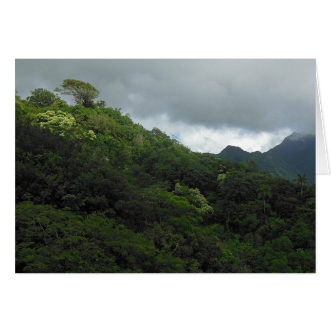 Koolau Mountains Hälsningskort (Framsidan Horizontal)