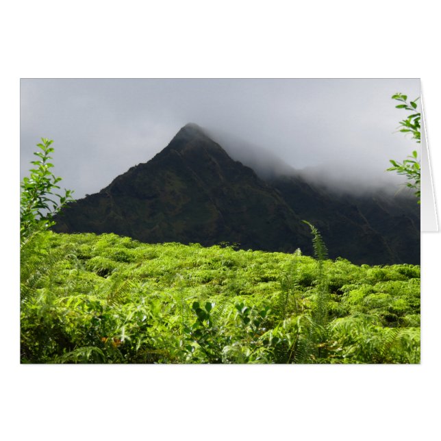 Koolau Mountains Hälsningskort (Framsidan Horizontal)
