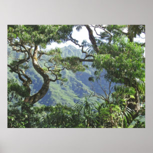 Ko'olau Mountains och Koa träd Poster