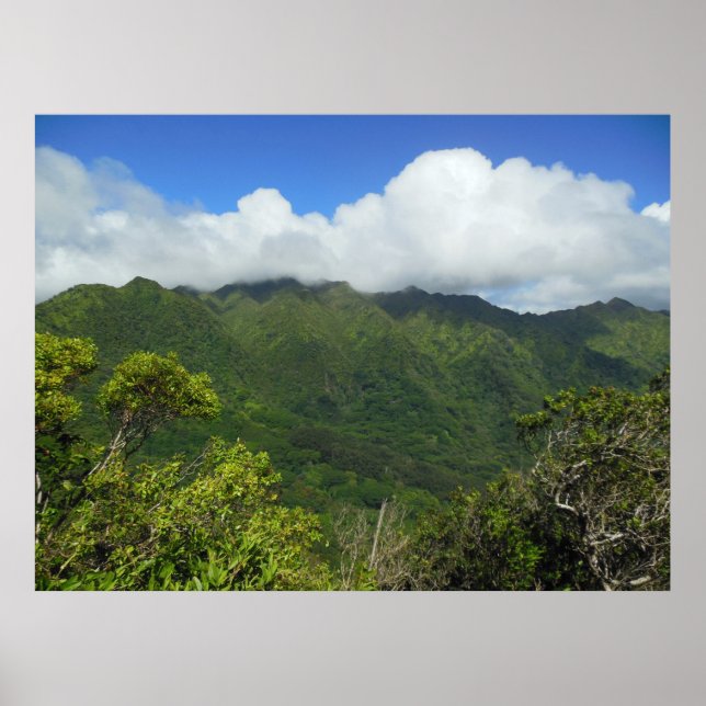 Koolau Mountains Poster (Framsidan)