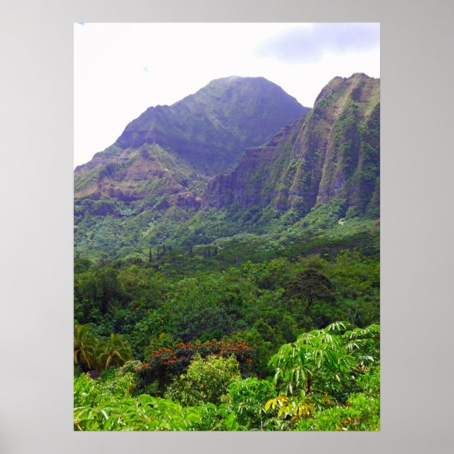 Koolau Mountains Poster (Framsidan)