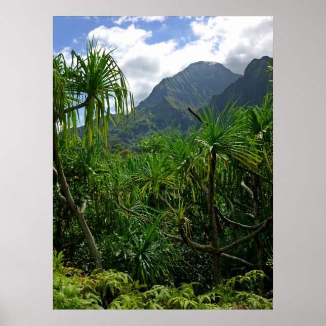 Koolau Mountains Poster (Framsidan)