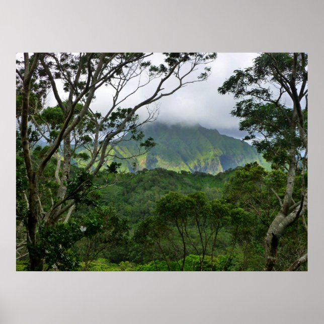 Koolau Mountains Poster (Framsidan)