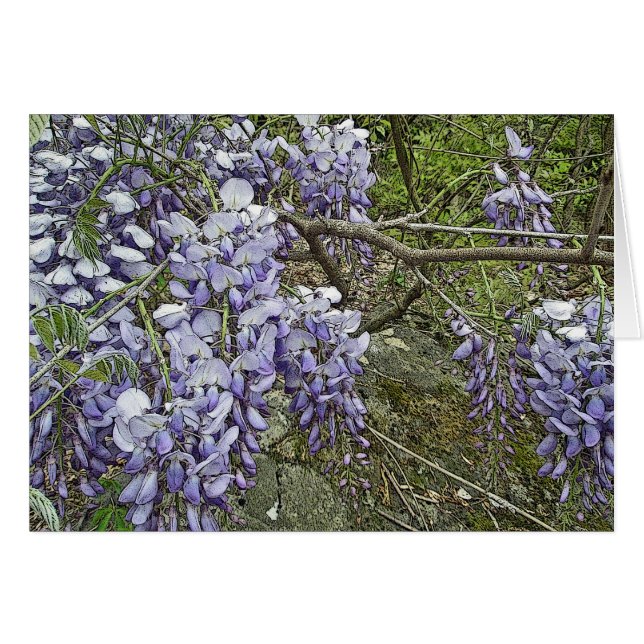 Koordinerande objekt för purpurfärgad Wisteria Hälsningskort (Framsidan Horizontal)