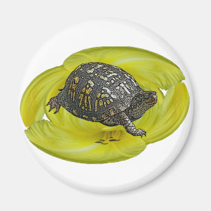Koordineringsobjekt för östra Box-turtle Magnet