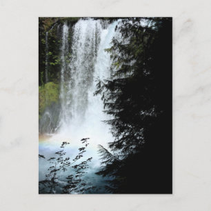 Koosah Falls Oregon Waterfall vykort