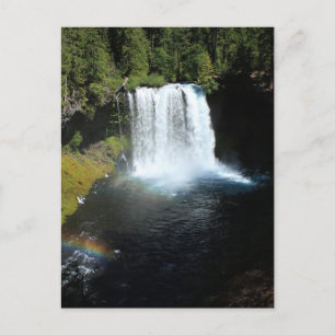 Koosah Falls Oregon Waterfall vykort