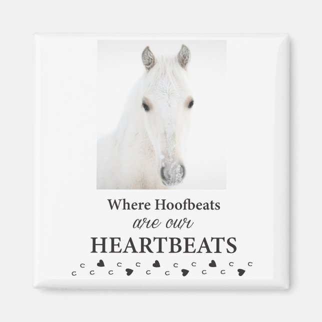 Kootenai magnet (Framsidan)