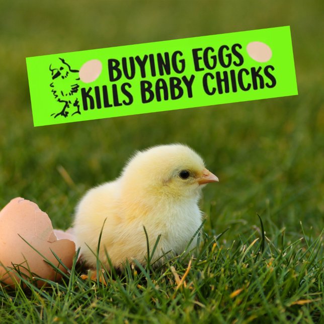Köp Ägg Dödor Baby Chickar, Vegan Activism Bildekal (Skapare uppladdad)