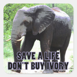Köp inte Ivory, Spara och elefantens livstidssymbo Fyrkantigt Klistermärke