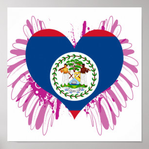 KöpBelize flagga Poster
