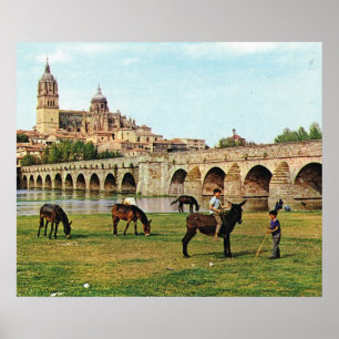 Kopiavintage Spanien, Salamanca, domkyrka Poster