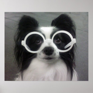 KOPIER I SHADES POSTER