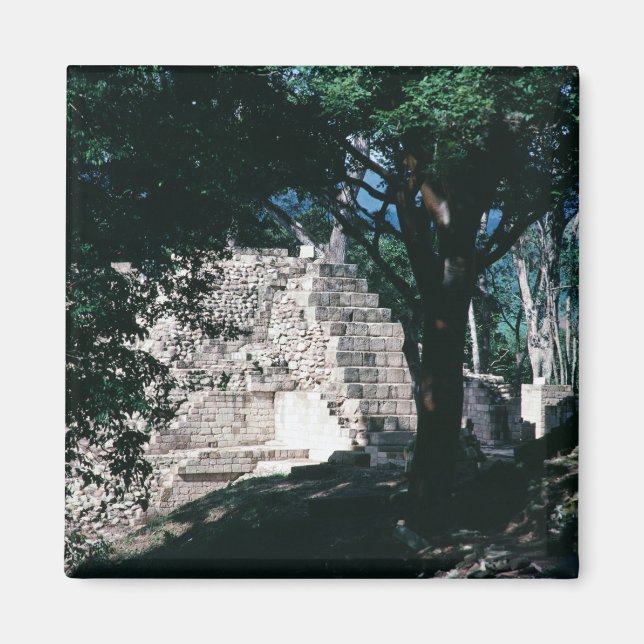 Kopisk kultur i ruinerna i den kopanska honduras M Magnet (Framsidan)