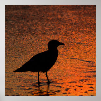 Kopparsolnedgång Poster