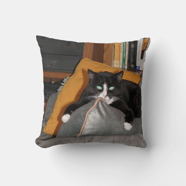 Koppla av en katt kudde (Framsida)
