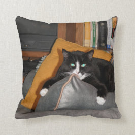 Koppla av en katt kudde