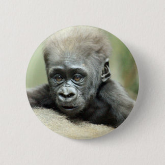 KOPPLA AV FÖR BABYGORILLA KNAPP