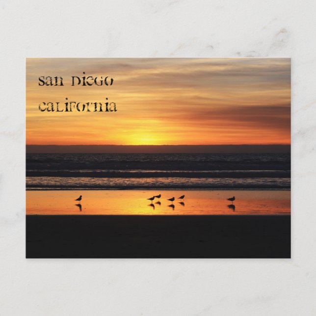 Koppla av i San Diego Vykort (Framsida)