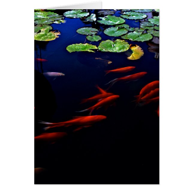 Koppla av OBS kort (Framsidan)