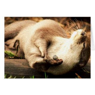 Koppla av och tyck om! hälsningskort