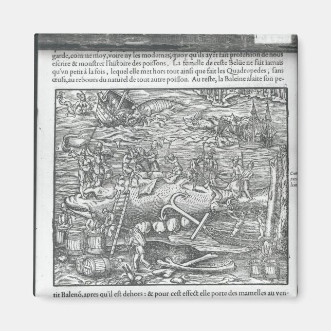 Koppla en val magnet (Framsidan)