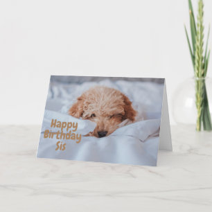 KOPPLA HUND FÖR MIN SISTERS BIRTHDAY-KORT KORT