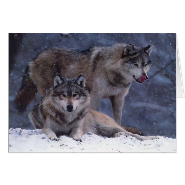 Koppla ihop hälsningskort (Framsidan Horizontal)