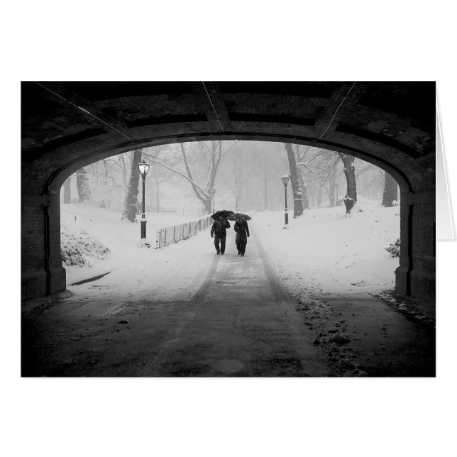 Koppla ihop i snowstormen, Central Park Hälsningskort (Framsidan Horizontal)