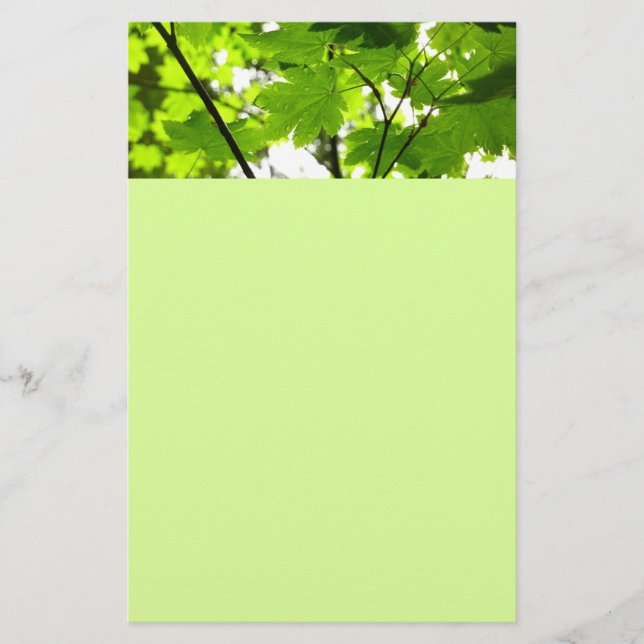 Koppla Löv med regndroppar Brevpapper (Framsida)