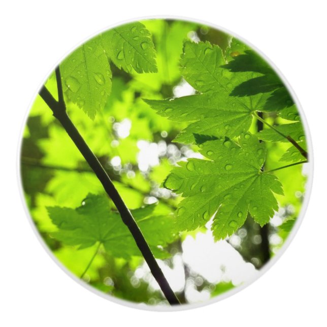 Koppla Löv med regndroppar Knopp (Framsidan)