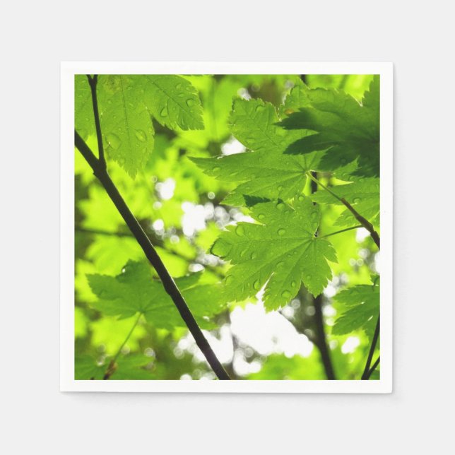 Koppla Löv med regndroppar Pappersservett (Framsidan)