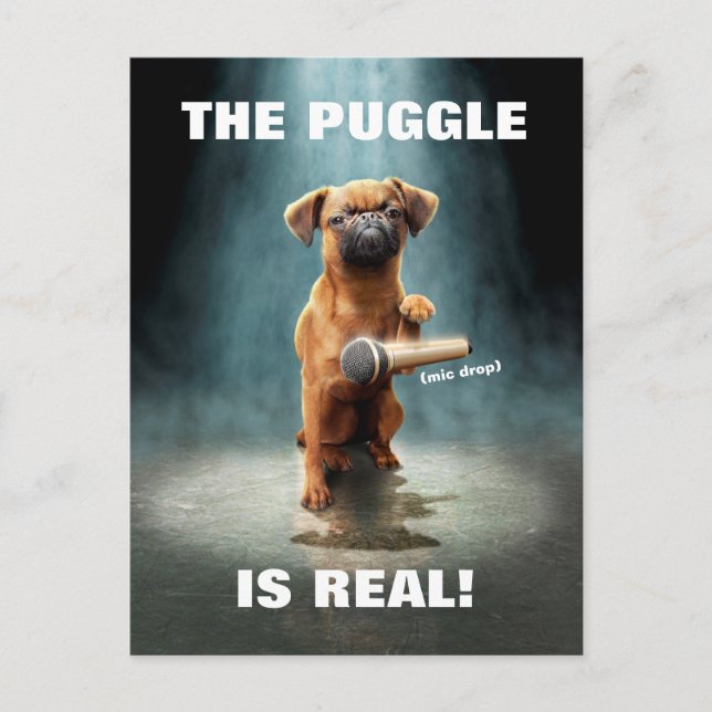 Koppla mikrofon inbjudan vykort (Framsida)