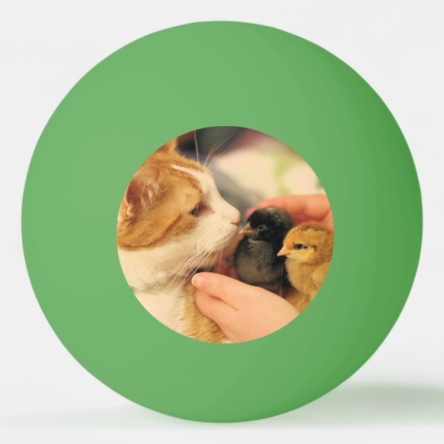 Kopplingar Pingisboll (Framsidan)