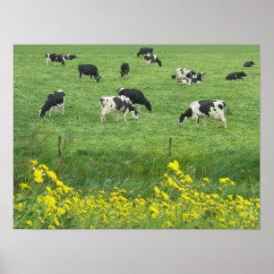 Kor, äng och gåvor för blommaaffischtryck poster