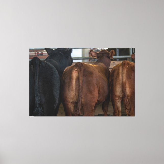 Kor bakom canvastryck (Framsida)