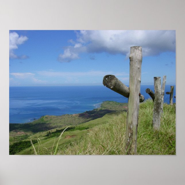 Kor bortser från ön Guam i södra Stilla havet Poster (Framsidan)