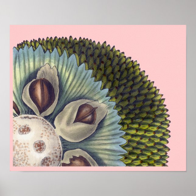 Kor-delen av Bredfrun - Tropiska Mat Poster (Framsidan)