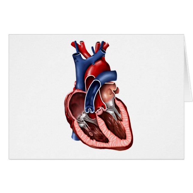 Kor-delen av människans hjärta hälsningskort (Framsidan Horizontal)