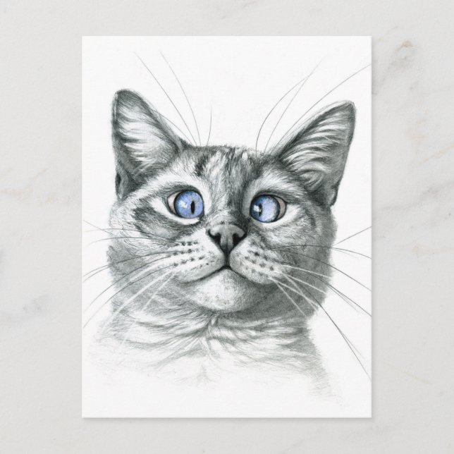 Kor Eyed cat G122 Vykort (Framsida)