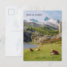 Kor framför Covadongas sjöar, Asturien resa