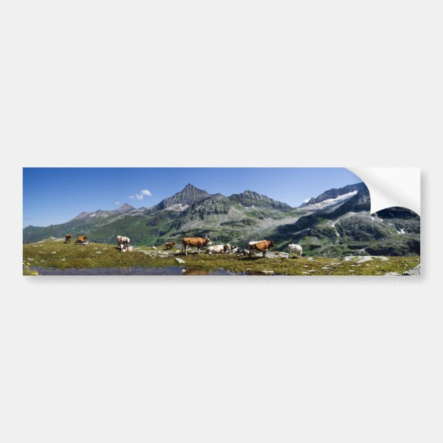 Kor i bergen bildekal (Framsidan)