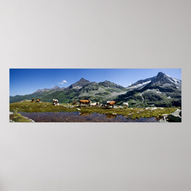 Kor i bergen poster (Framsidan)