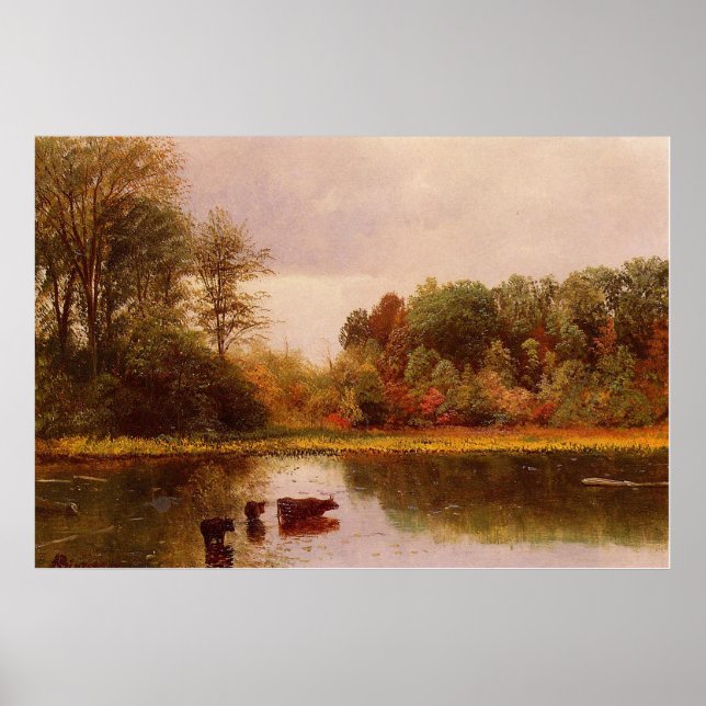 Kor i ett vattendrag liggande av Albert B. Poster (Framsidan)