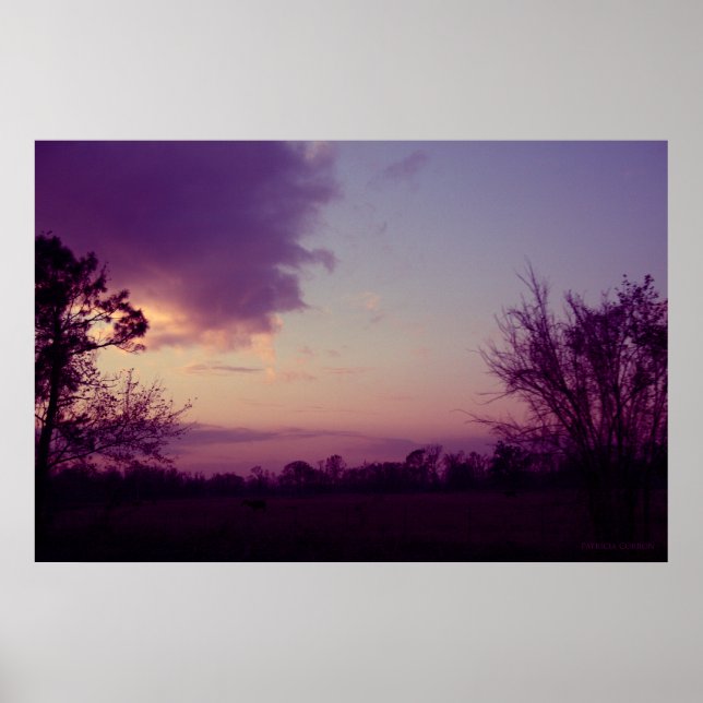 Kor i Fält Poster (Framsidan)