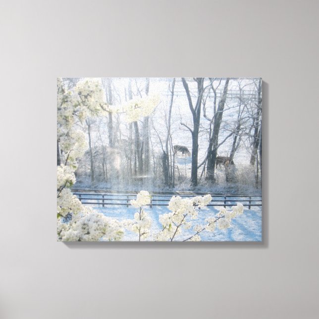 Kor i fält under vintern canvastryck (Framsida)