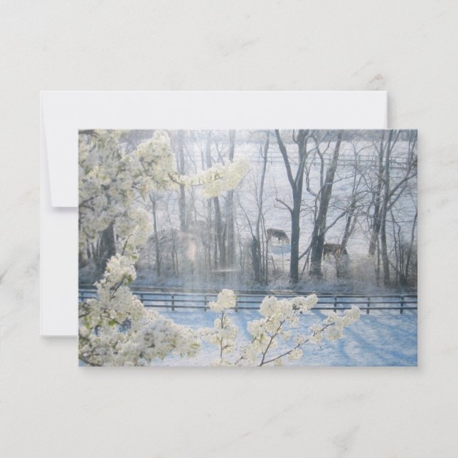 Kor i fält under vintern inbjudningar (Framsida)